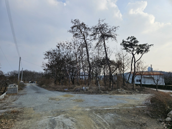 경상북도 경산시 와촌면 용천리 661-3 외 10필지 근린생활시설 경매 사진 24