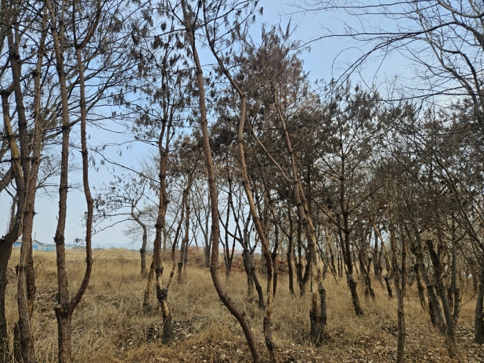 경상북도 경산시 와촌면 용천리 661-3 외 10필지 근린생활시설 경매 사진 31