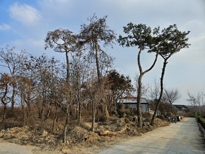 경상북도 경산시 와촌면 용천리 661-3 외 10필지 근린생활시설 경매 사진 33