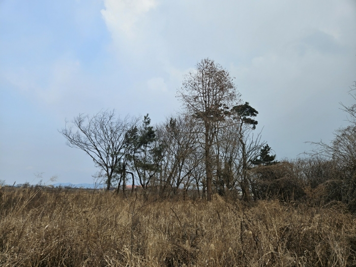 경상북도 경산시 와촌면 용천리 661-3 외 10필지 근린생활시설 경매 사진 42