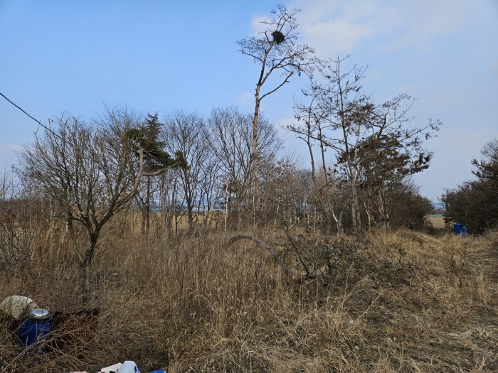 경상북도 경산시 와촌면 용천리 661-3 외 10필지 근린생활시설 경매 사진 43