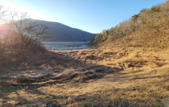 경상북도 경주시 서면 심곡리 28 외 8필지 답 경매 사진 4