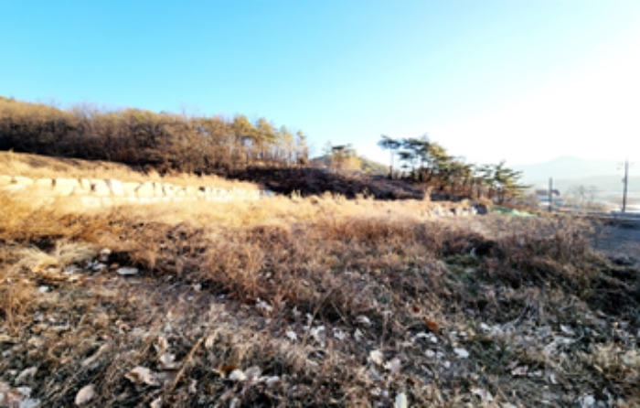 경상북도 경주시 서면 심곡리 28 외 8필지 답 경매 사진 8