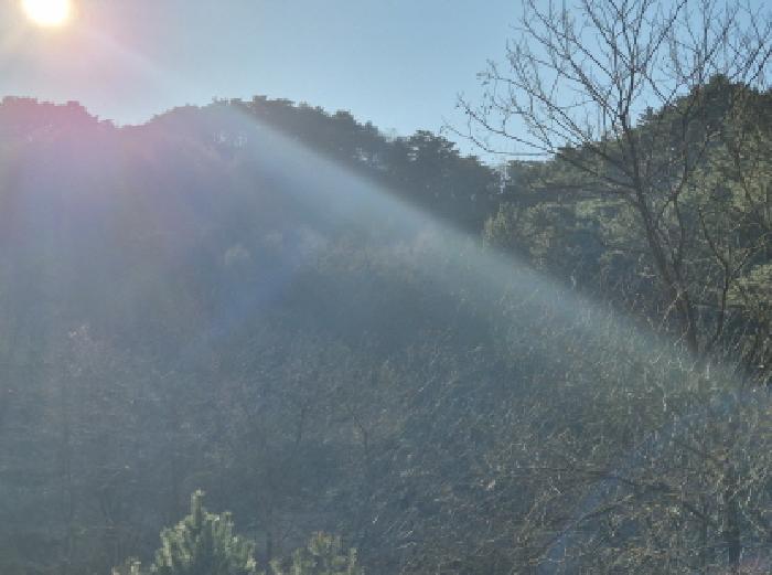 경상북도 울진군 평해읍 거일리 산53 임야 경매 사진 1