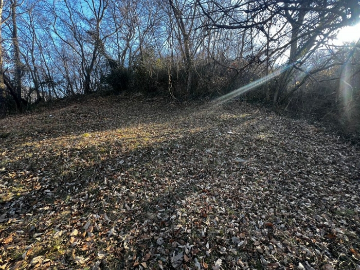 경상남도 함안군 함안면 북촌리 530-1 전 경매 사진 11