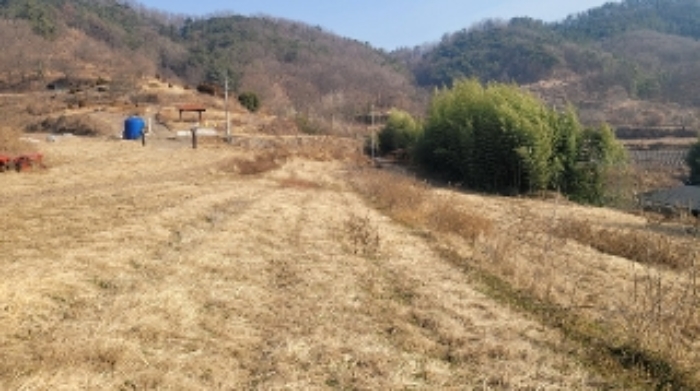 경상남도 함안군 법수면 강주리 501 전 경매 사진 14