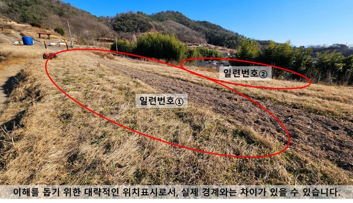 경상남도 함안군 법수면 강주리 501 전 경매 사진 19