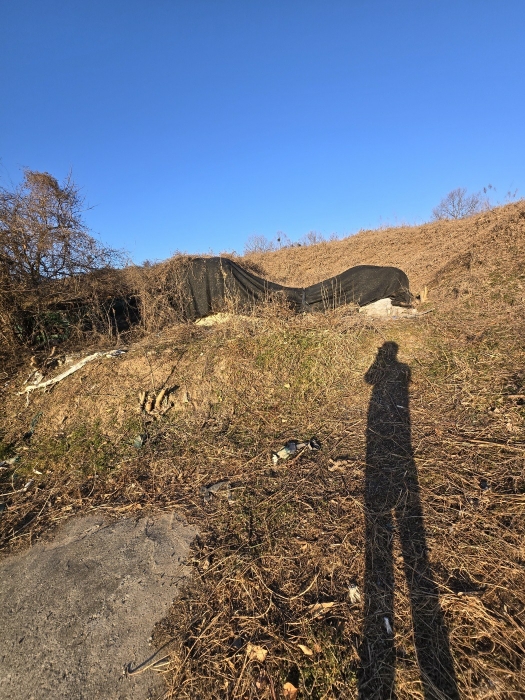 경남 함안군 법수면 황사리 333 전 경매 사진 4