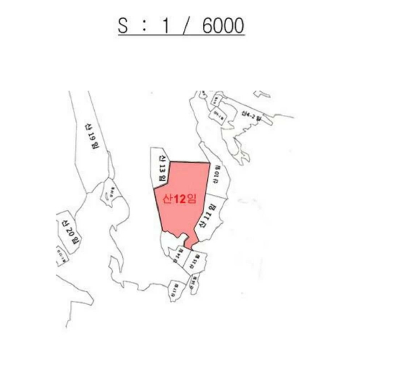 경상남도 밀양시 초동면 오방리 산12 임야 경매 사진 18