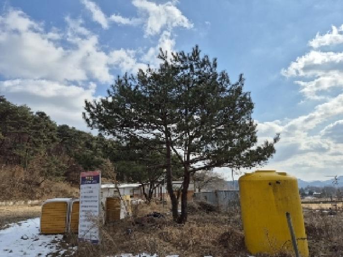 전라남도 담양군 금성면 대성리 879-4 근린시설 경매 사진 48