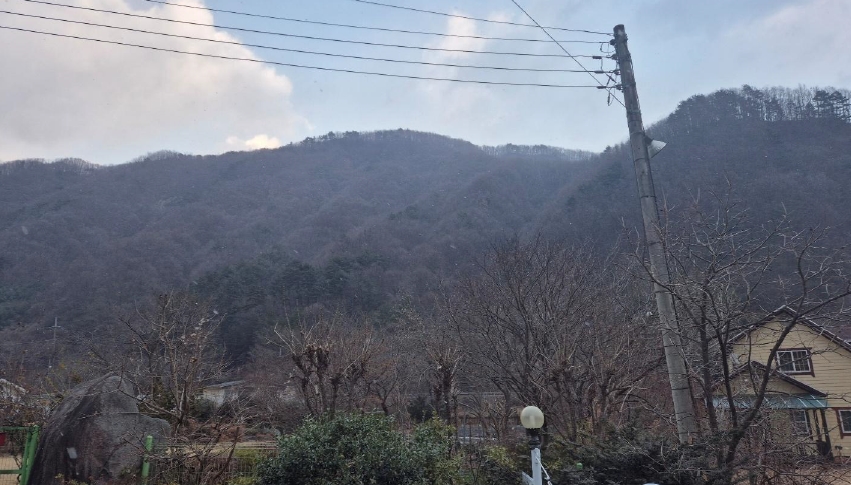 경상남도 산청군 시천면 내대리 산137-1 임야 경매 사진 62