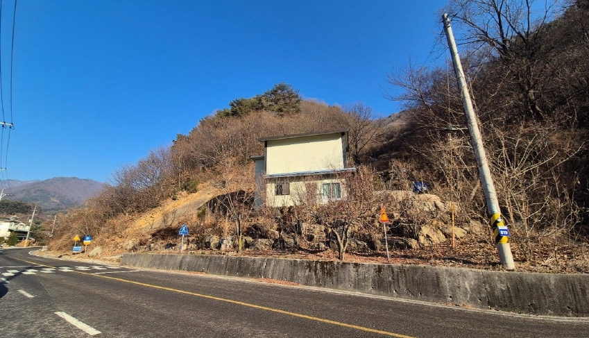 경상남도 산청군 시천면 내대리 산137-1 임야 경매 사진 63