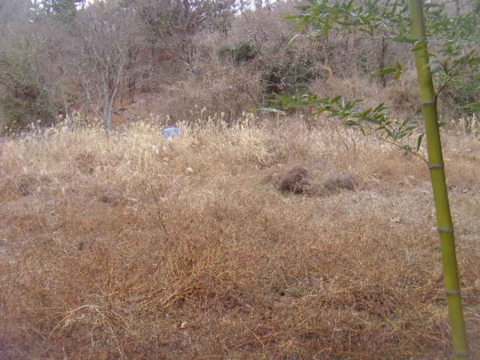 전라남도 해남군 화원면 인지리 295 전 경매 사진 14