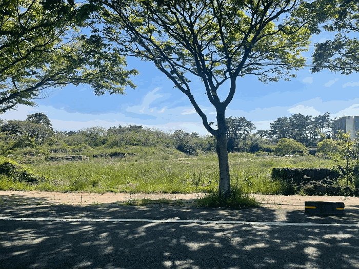 제주특별자치도 제주시 한림읍 협재리 1834-1 외 5필지 전 경매 사진 11