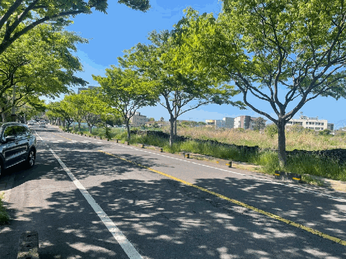 제주특별자치도 제주시 한림읍 협재리 1834-1 외 5필지 전 경매 사진 14
