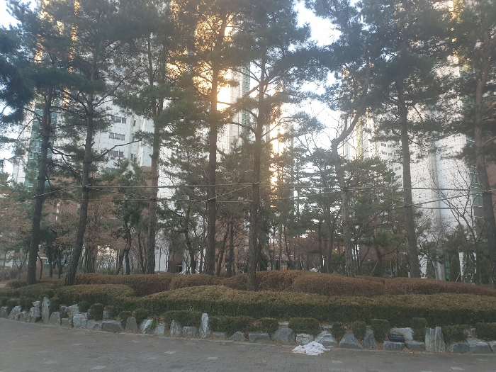 인천 연수구 송도동 15-10, 303동 4층412호 (송도동,송도 더 프라우 2) 오피스텔(주거) 경매 사진 6