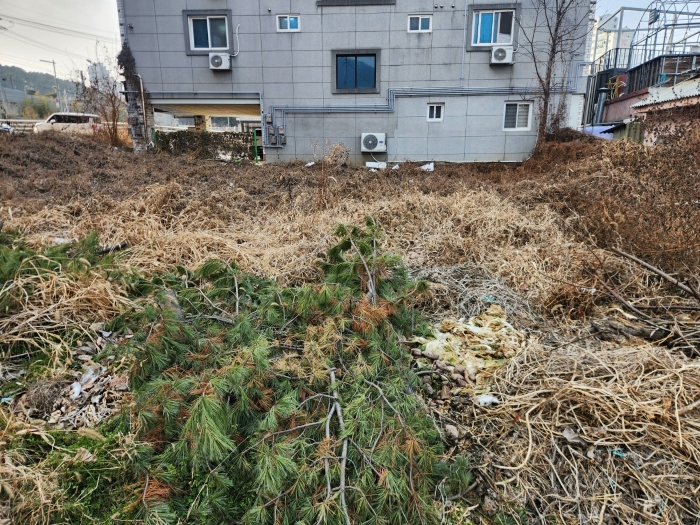 대전광역시 동구 판암동 411-9 외 4필지 대지 경매 사진 32