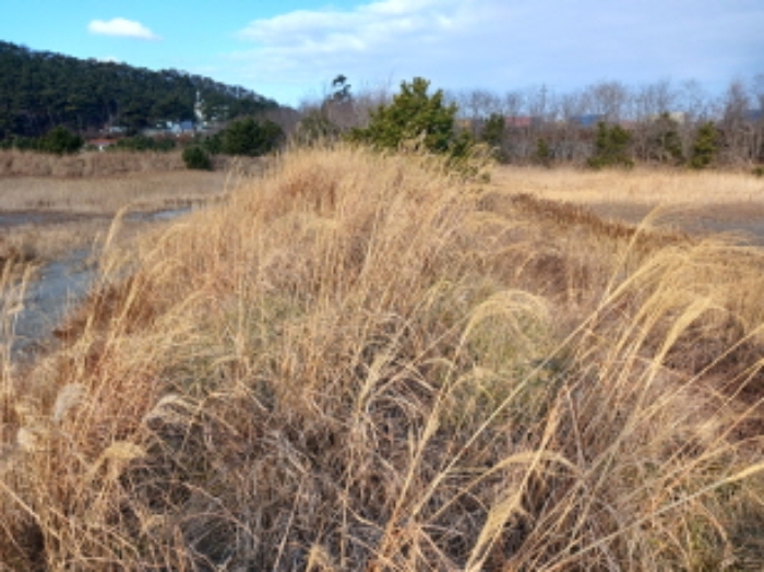 충청남도 서산시 대산읍 오지리 338-83 유지 경매 사진 12