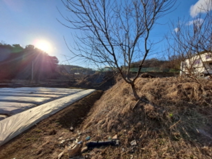 충청남도 당진시 송악읍 오곡리 336-1 답 경매 사진 12
