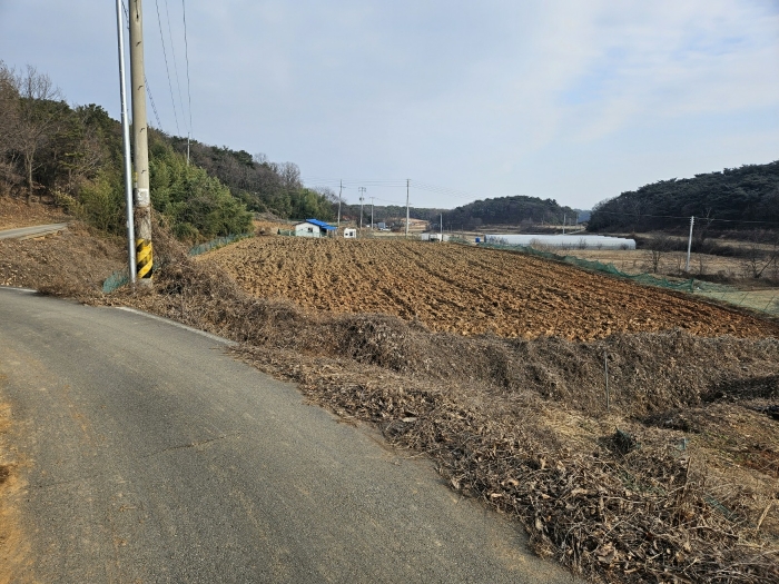 충청남도 당진시 송악읍 오곡리 336-1 답 경매 사진 14
