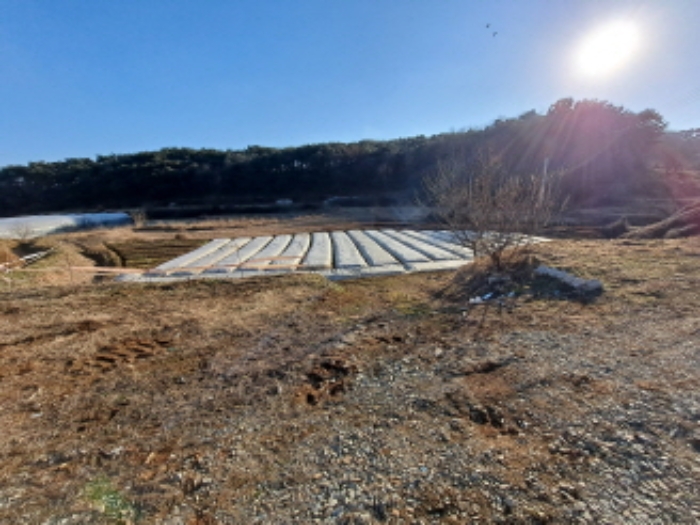 충청남도 당진시 송악읍 오곡리 336-1 답 경매 사진 3