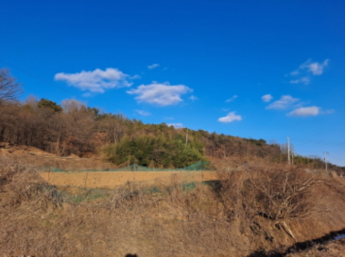 충청남도 당진시 송악읍 오곡리 336-1 답 경매 사진 7