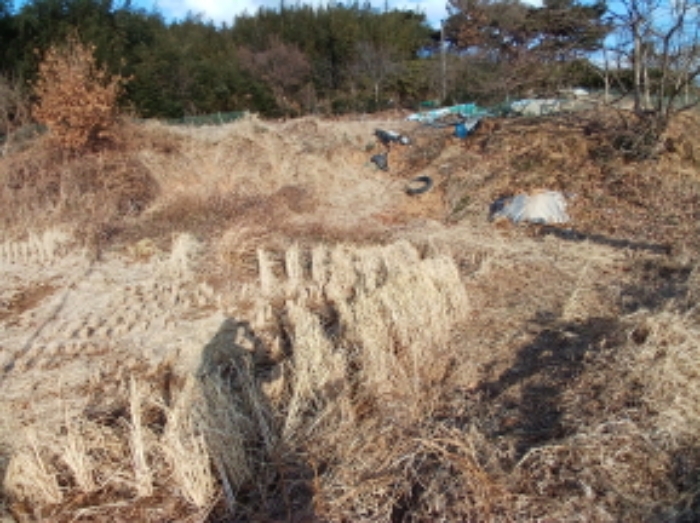충청남도 서산시 대산읍 대산리 323 외 1필지 전 경매 사진 1