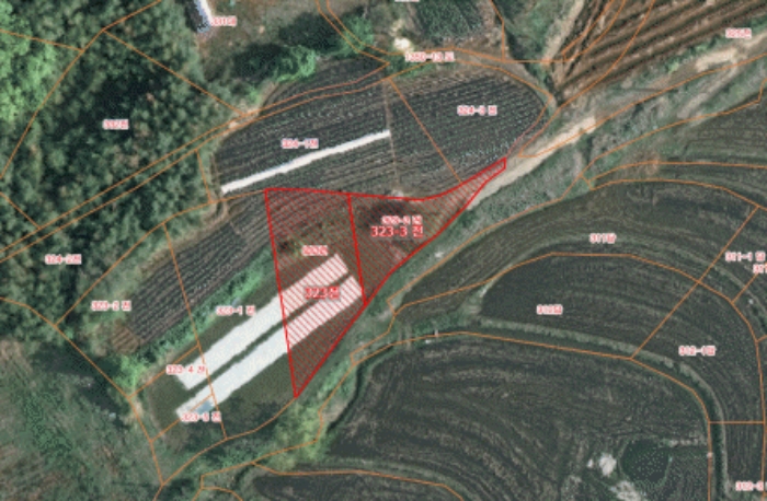 충청남도 서산시 대산읍 대산리 323 외 1필지 전 경매 사진 3