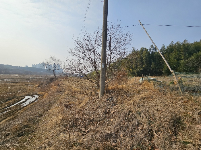 충청남도 서산시 대산읍 대산리 323 외 1필지 전 경매 사진 6