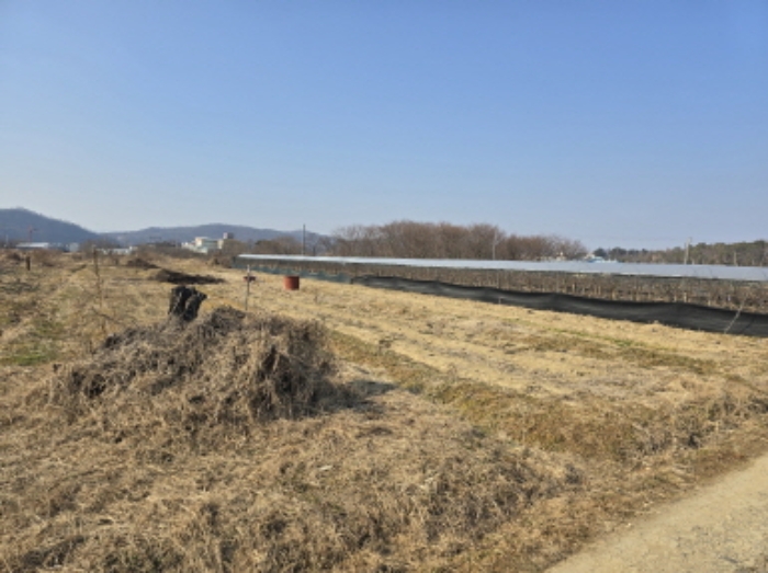 경북 영천시 답
