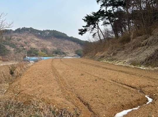 충청남도 서산시 팔봉면 흑석리 168-6 전 경매 사진 1