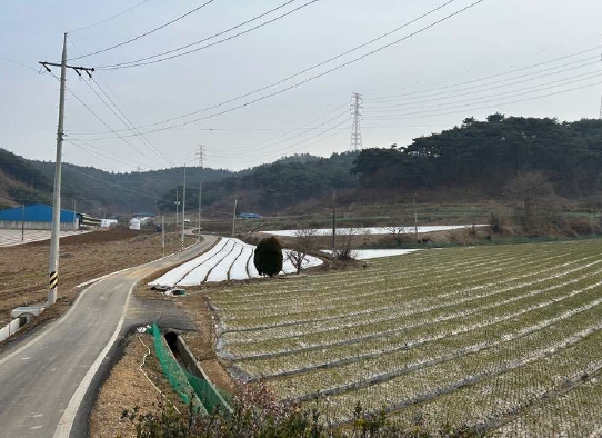 충청남도 서산시 팔봉면 흑석리 168-6 전 경매 사진 2
