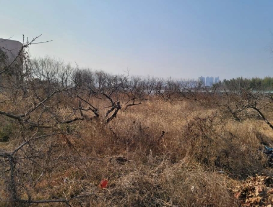 경상북도 경산시 임당동 514 답 경매 사진 5