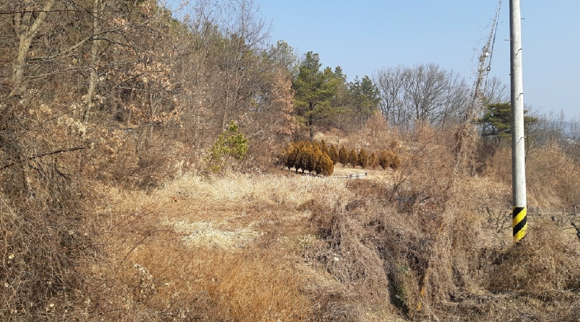 경상북도 김천시 농소면 용암리 354-1 전 경매 사진 3