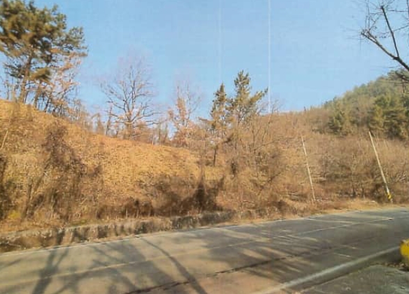 경상남도 함안군 법수면 강주리 225 전 경매 사진 1