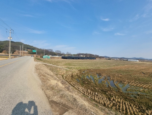전라남도 장성군 삼서면 대도리 206-3 외 3필지 답 경매 사진 1
