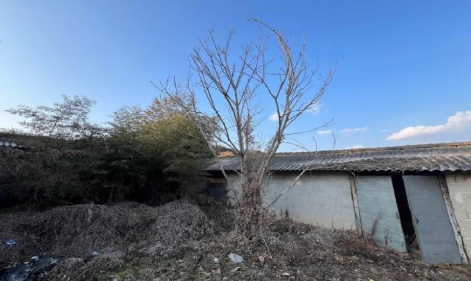 전라남도 무안군 몽탄면 사창리 297-1 전 경매 사진 3