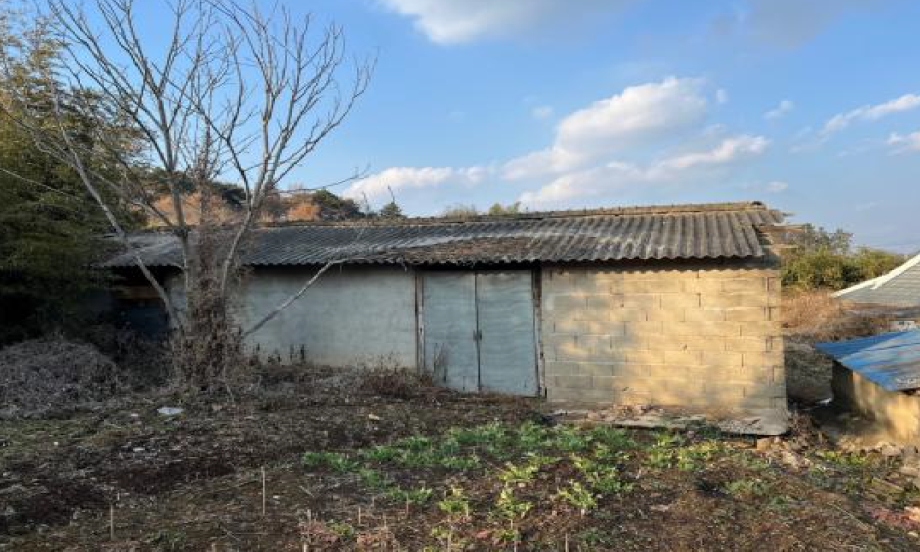 전라남도 무안군 몽탄면 사창리 297-1 전 경매 사진 4