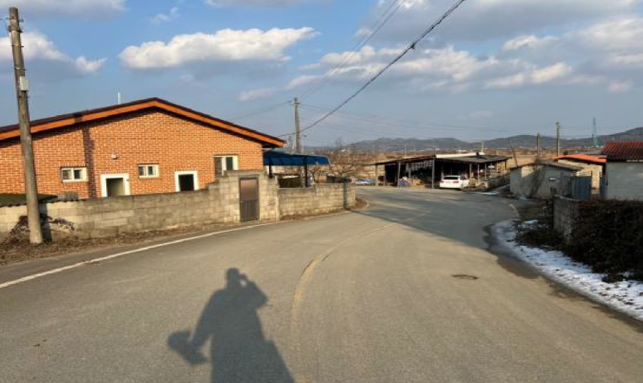 전라남도 무안군 몽탄면 사창리 297-1 전 경매 사진 6