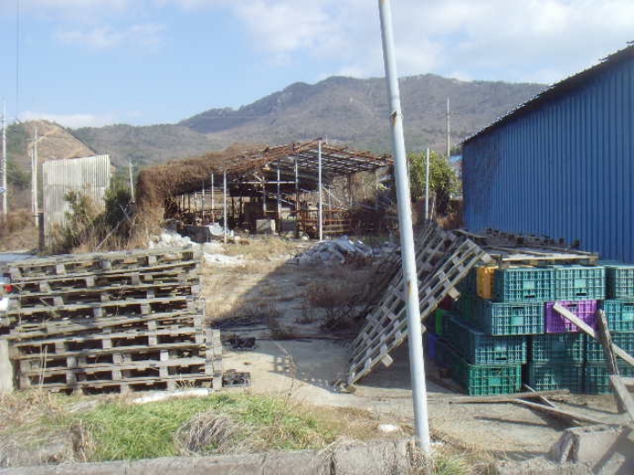 전라남도 해남군 현산면 조산리 166-11 외 2필지 단독주택 경매 사진 19