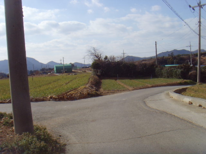 전라남도 해남군 현산면 조산리 166-11 외 2필지 단독주택 경매 사진 20