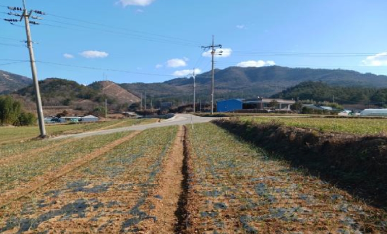 전라남도 해남군 현산면 조산리 166-11 외 2필지 단독주택 경매 사진 5