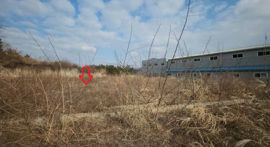 경기도 화성시 팔탄면 구장리 949-41 외 5필지 임야 경매 사진 7