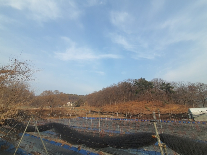 경기도 화성시 봉담읍 상기리 산138-1 외 1필지 임야 경매 사진 8