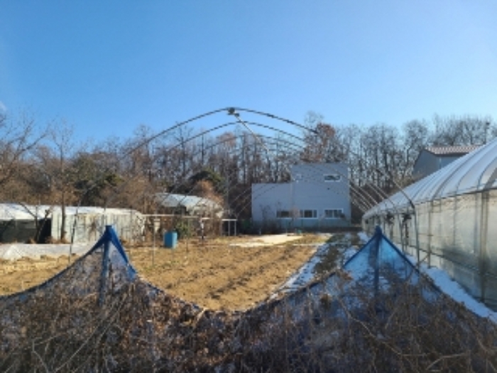 경기도 하남시 초이동 89 외 1필지 답 경매 사진 11