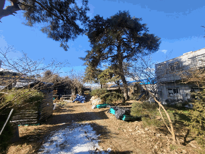 경기도 하남시 초이동 89 외 1필지 답 경매 사진 16