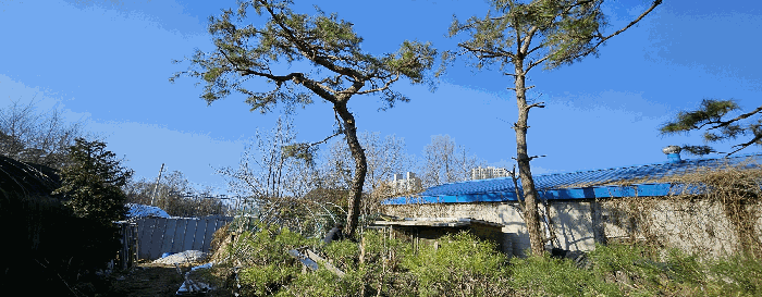 경기도 하남시 초이동 89 외 1필지 답 경매 사진 18
