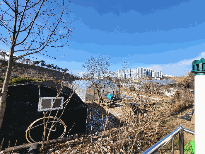경기도 하남시 초이동 89 외 1필지 답 경매 사진 23