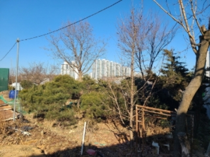 경기도 하남시 초이동 89 외 1필지 답 경매 사진 4