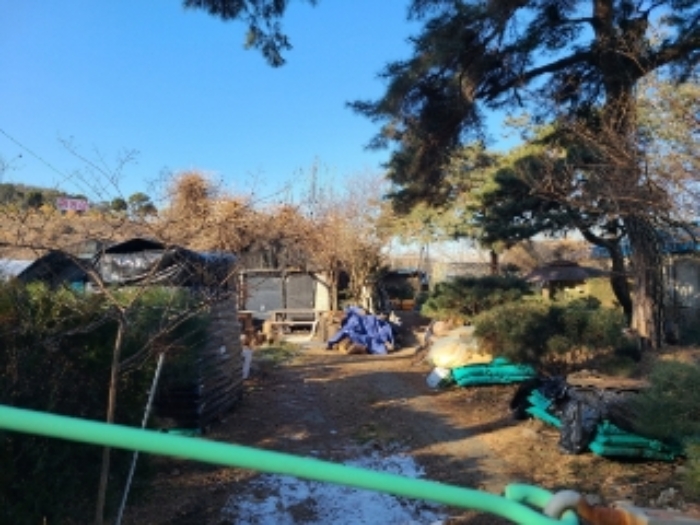 경기도 하남시 초이동 89 외 1필지 답 경매 사진 9